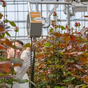 man-in-greenhouse-koppert-1024x1024